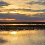 Cervia, terra del dolce sale